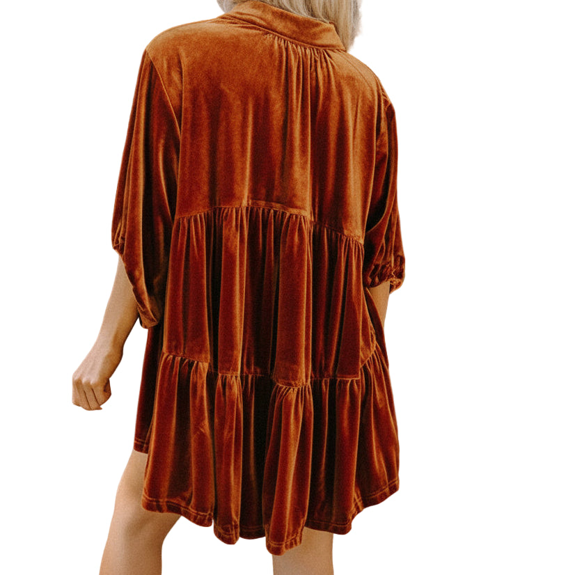 Velvet Long Sleeve Shirt
